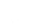 Immobiliare 313