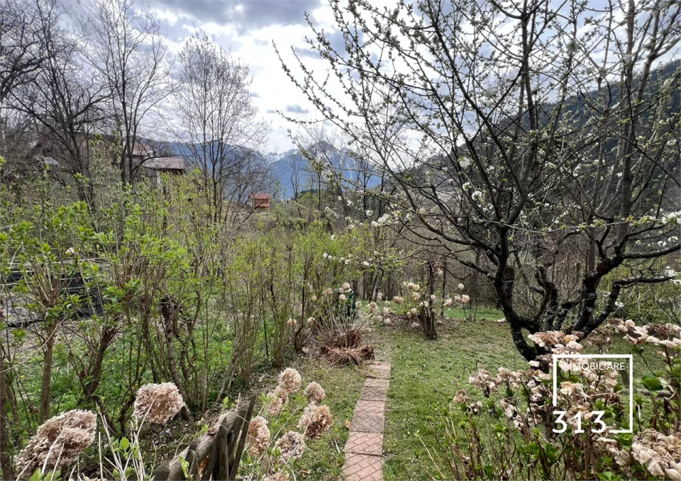 Calalzo di Cadore Casa singola su più piani con giardino privato – Foto 5 di 24
